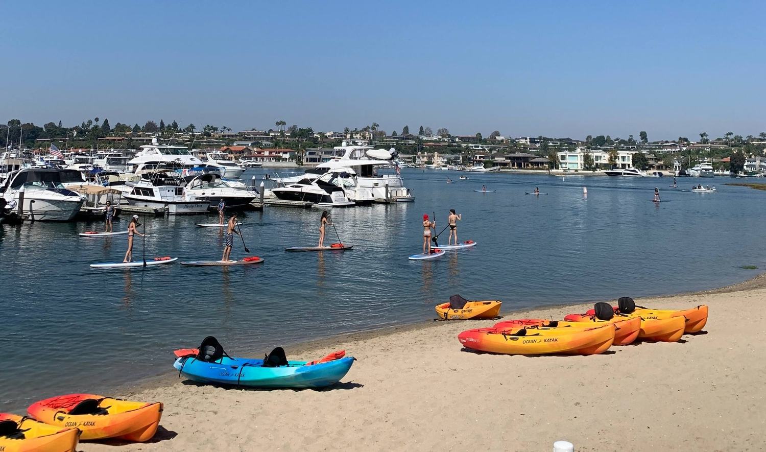 Paddle board and kayak rentals in Newport Beach